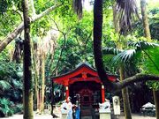 ���E�̋�����̐��̈��M�ѐ��A���Q���̓��e�ʐ^1