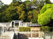 ˂񂳂̓VEVc˂̓eʐ^1