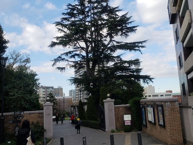 �����ǍD_�A�����J�R����