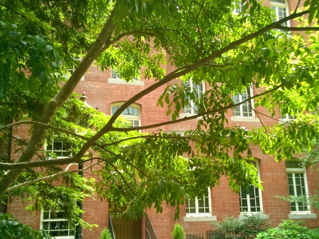 �w�O�H�ꍆ�ٔ��p�فx�B_�O�H�ꍆ�ٔ��p��