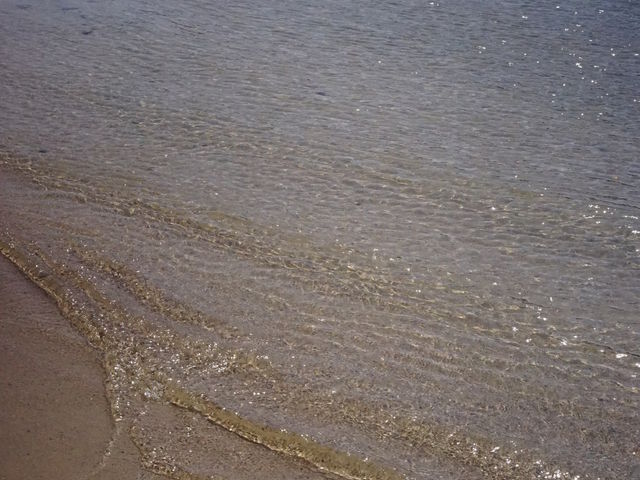 {Øp̊C̓x͑f炵łB_V