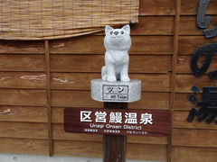 �V����̎ʐ^2