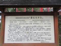 しゅんさんの蒲生八幡神社（鹿児島県姶良市）の投稿写真1