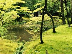 ǂ炦񂳂̐Fւ̓eʐ^1