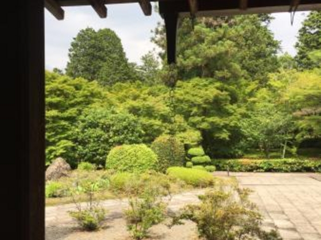 �뉀��������_���F��