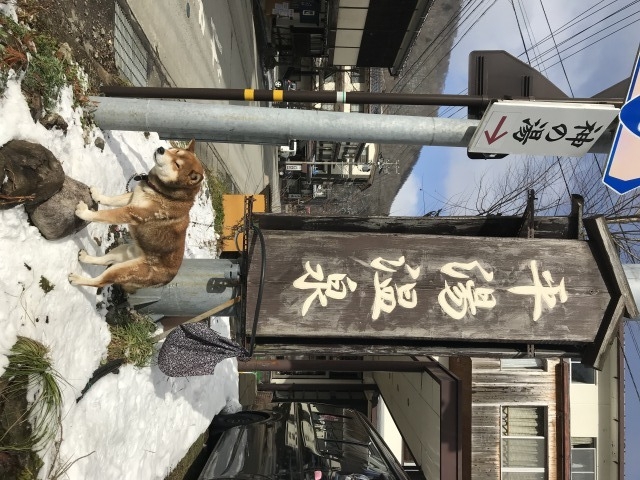 ��������Ŕ�_��������