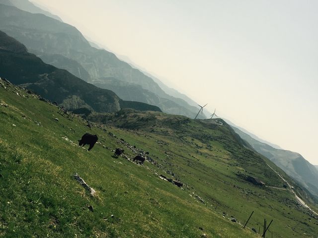 ��������H��ł��܂����B_�l���J���X�g��샖��