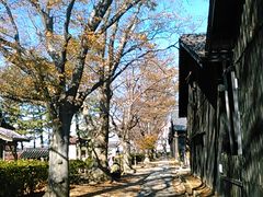 Rqɂ̃PL؂̍gt̎ʐ^1