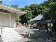 �L������̗{�V���̓��e�ʐ^2