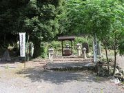 �L������̍F�q�̕�̓��e�ʐ^1