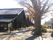 L^J̎Rqɂ̃PL؂̍gt̓eʐ^2