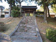 �˂�����񂳂�̈ɐ��􎛂̓��e�ʐ^2