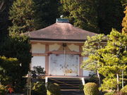 �˂�����񂳂�̈ɐ��􎛂̓��e�ʐ^4