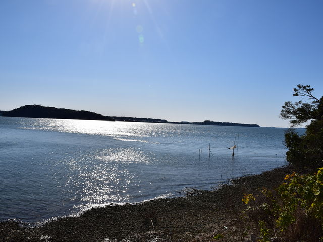 �l����_�l���΃T�[�r�X�G���A