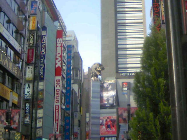 �S�W�����[�h_�̕��꒬