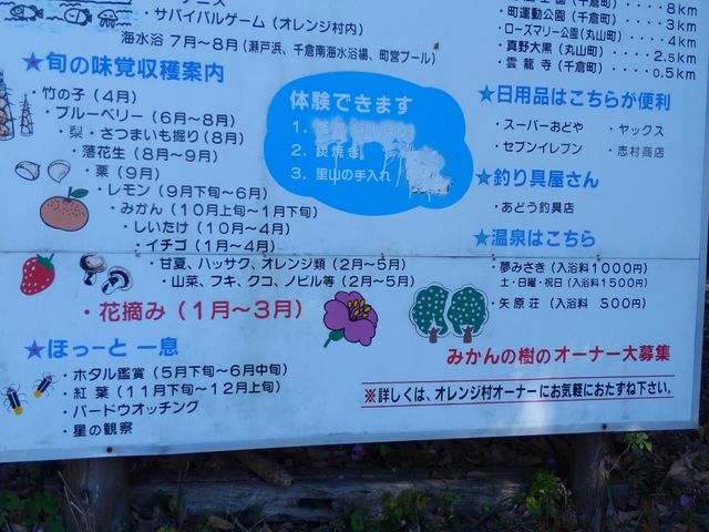 �Ŕ�_��q�I�����W�Z���^�[�@�I�����W���L�����v��