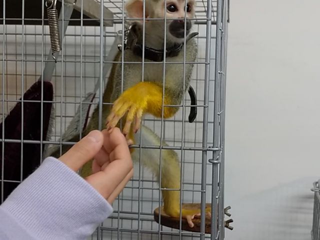 ���X�U���ƈ���_���키���t�����Y