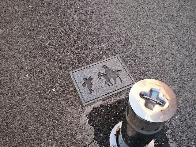 �n�ʂɂ͒���X���̃v���[�g������܂���_����X��