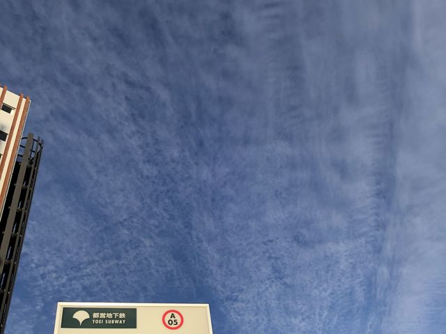 �O�HUFJ���̏o�����ł�_�s�c�󑐐� �ܔ��c�w