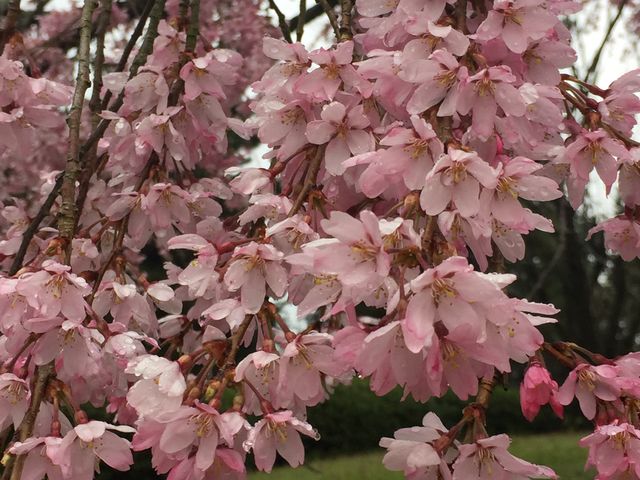 ������_��A��������