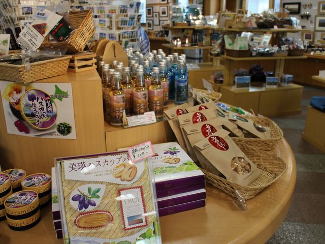 ���y�Y�i_�l�G�̏���