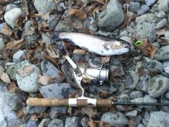 ^c̃@X|bg˂ւ̓eʐ^1