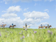 gonchanNASU FARM VILLAGE̓eʐ^8