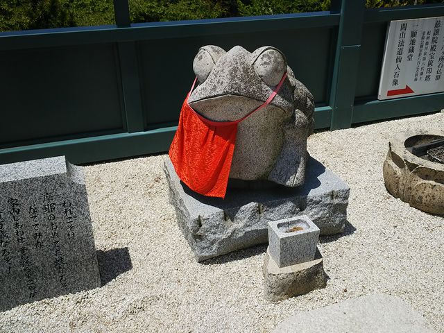 �q��̃J�G���l_����R�V�㎛