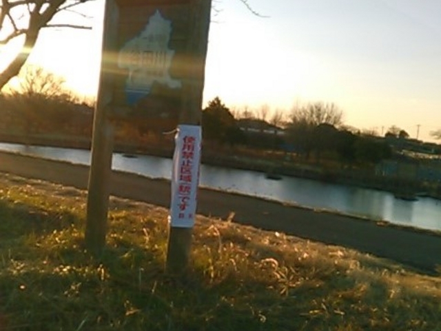 aoki̒Jc쉈̃TN̓eʐ^1