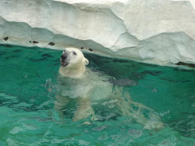 �傫�����ǉ��炵���z�b�L���N�O�}_��쓮���� �z�b�L���N�O�}