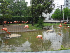 �������[����̏�쓮���� �t���~���S�ɂւ̓��e�ʐ^1