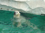 [̏쓮 zbLNO}̓eʐ^1