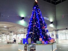 A_[̏c}dSÓwւ̓eʐ^1