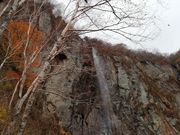 ̂ققC̕Ďqezs̓eʐ^1