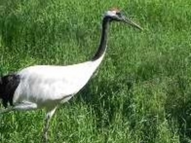 �O���ߎ��R����_�O���ߎ��R����