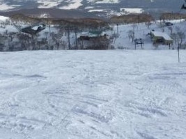 �j�Z�RHANAZONO���]�[�g_�j�Z�RHANAZONO���]�[�g