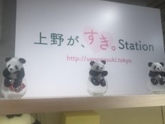 Kuda12����̏��ē����ւ̓��e�ʐ^1