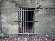 ���i����̑�32�R�i�ߕ����̓��e�ʐ^1