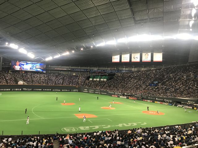 �O���E���h�Ƃ̋������قǂ悭��̊��������܂��B���o���p�E���[�O�炵�������ł��B_��a�n�E�X�v���~�X�g�h�[��