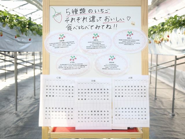 5��ނ�䕂��H�ׂ��܂��I_�܌��ʎ���