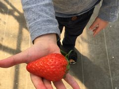 Abv̊ό_Ct@[ւ̓eʐ^1