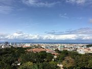 ���i����̐��̃A�U�i�̓��e�ʐ^1