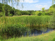 [oXeBA04݂̂ȂƂuӓ̓eʐ^3