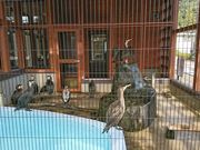 ayukan̋ёы̂̓eʐ^1