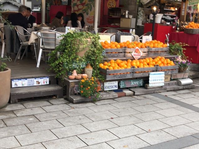 X_Cafe Ponte ITALIANO