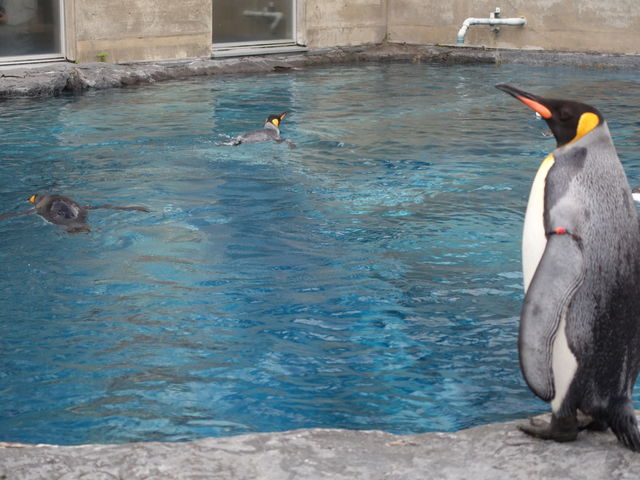 �y���M��_���R������