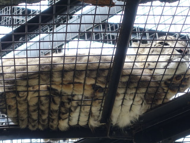 �����猩�グ����B�������������t���ɂ͒��ӁB_���R������