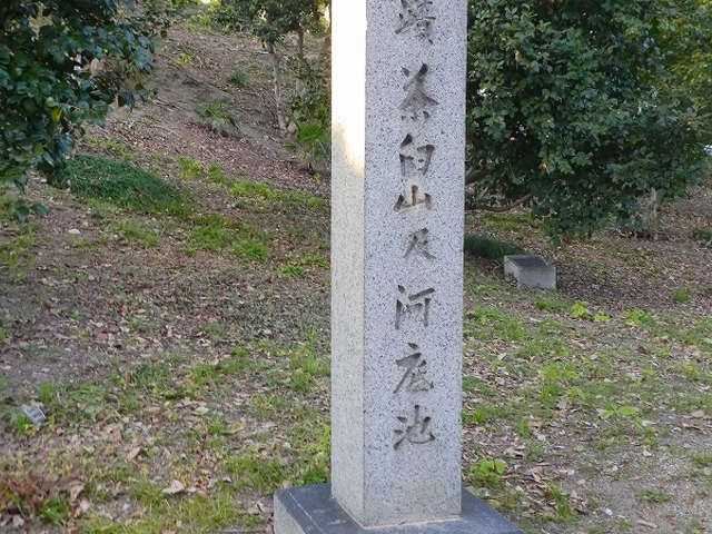 ���s�V������E���P�R �͒�r�̔�_���P�R