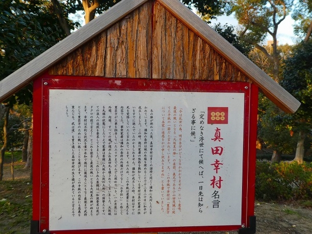 ���s�V������E���P�R_���P�R