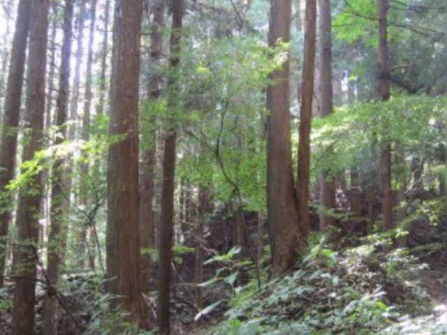 散策_中山道